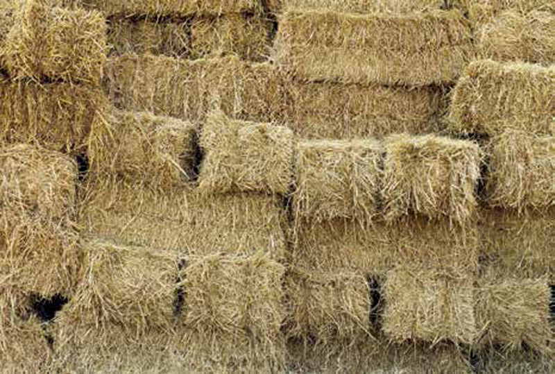 How (And Why) I Moved To A Straw Bale House